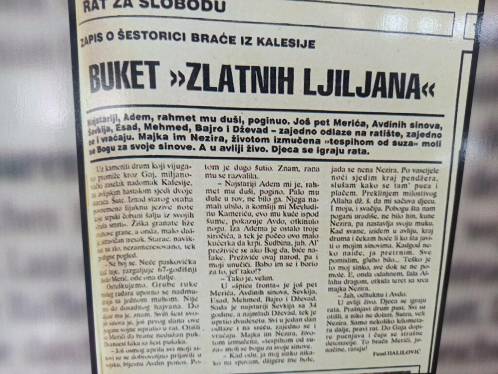 Buket Zlatnih ljiljana - članak
